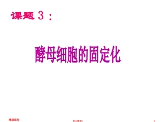4.3《酵母细胞的固定化》课件-邹晓甘