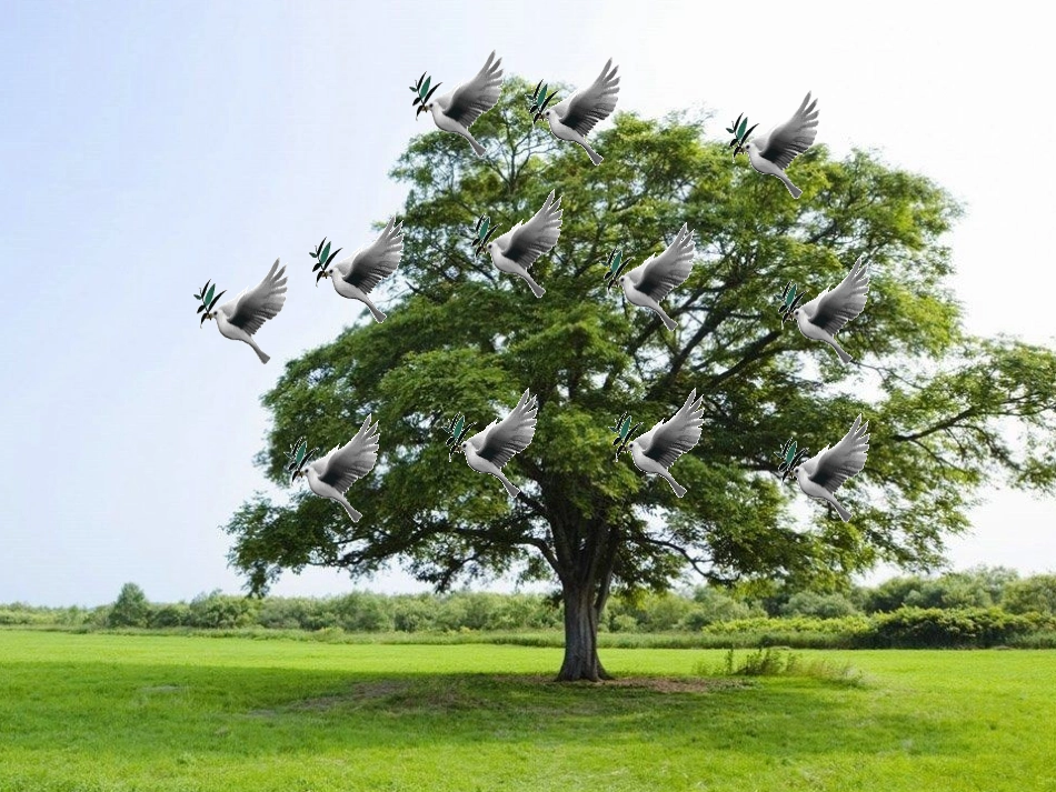 小学英语课件_第2页