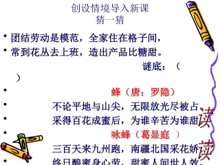 王婉秋14《蜜蜂》