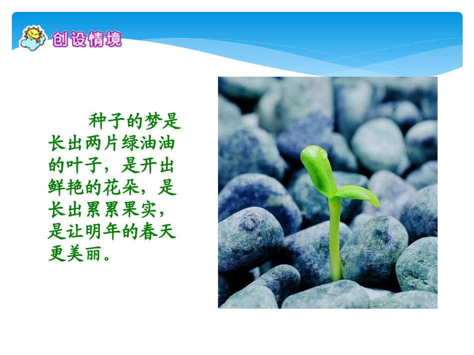 种子的梦-(5)_第2页