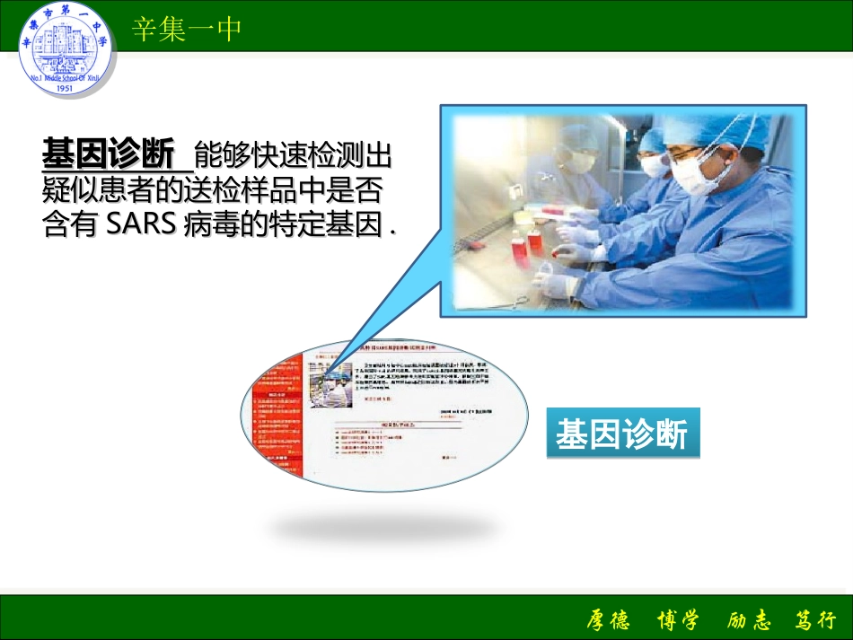 拓展视野-基因芯片技术与新药的开发_第3页