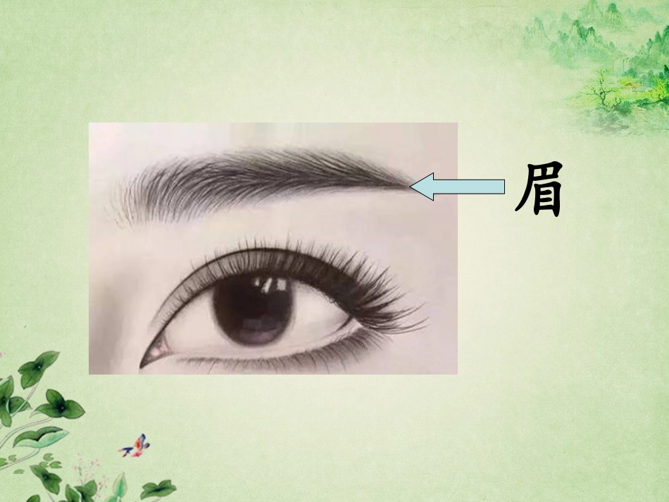 识字加油站+字词句运用_第2页