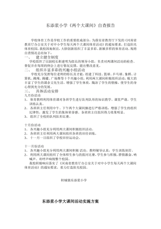 两个大课间自查报告