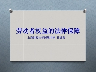 劳动者权益的法律保障