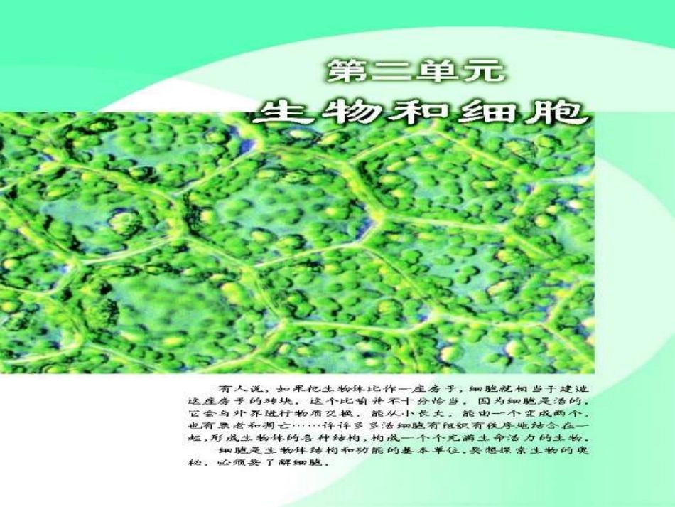 练习使用显微镜讲课课件课件_第1页