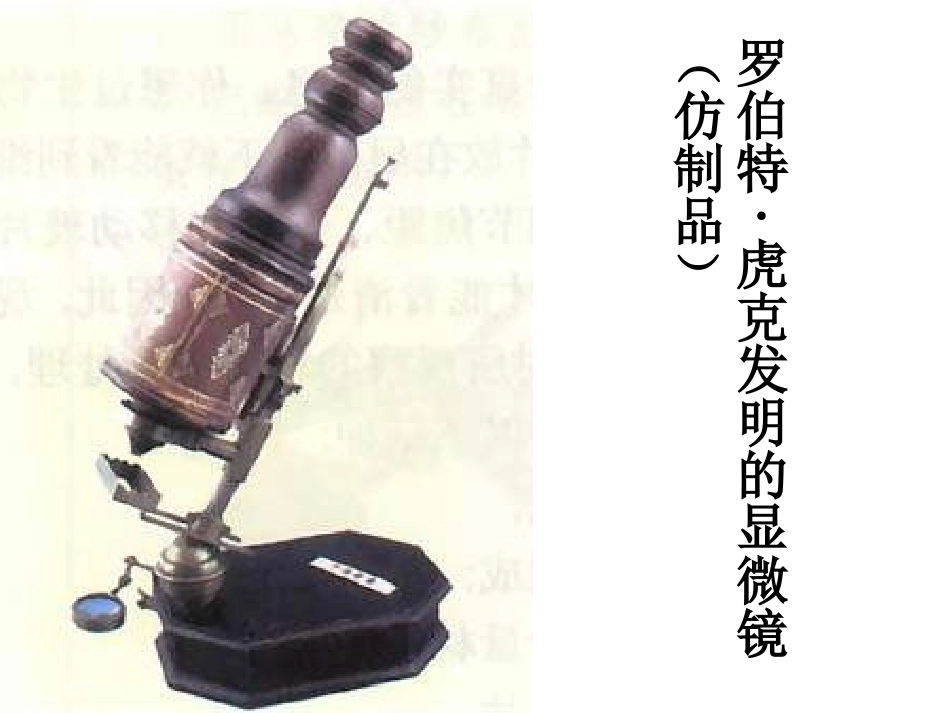 练习使用显微镜讲课课件课件_第2页