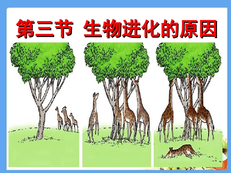 第三节生物进化的原因_第2页