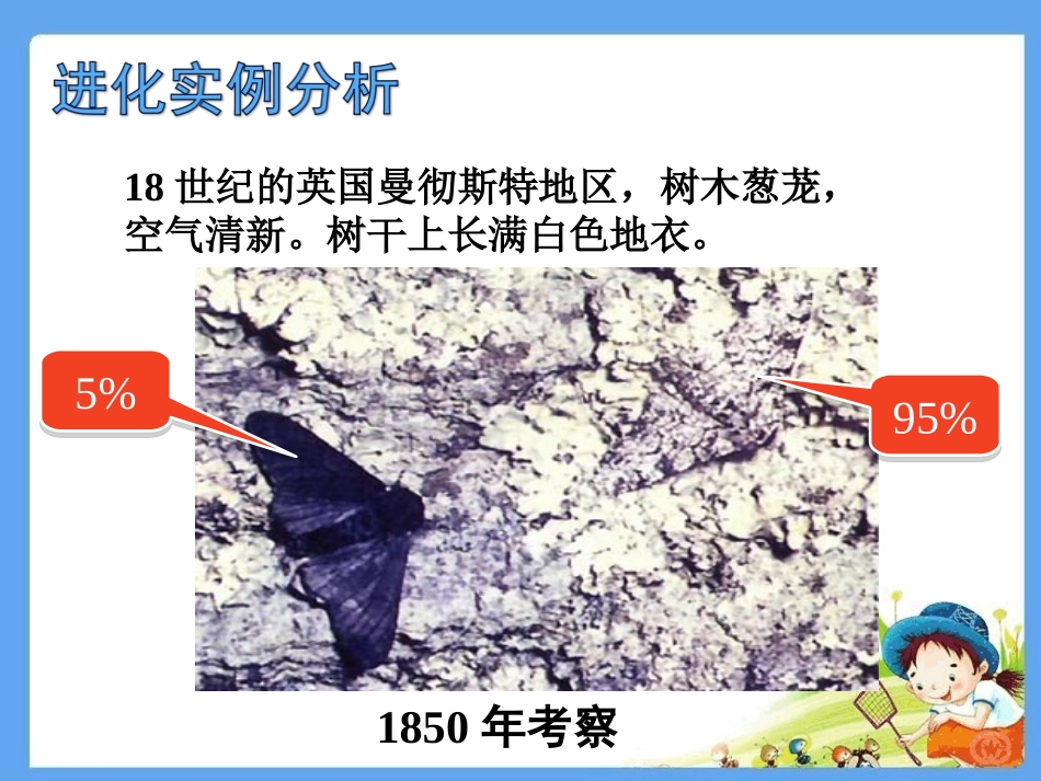 第三节生物进化的原因_第3页