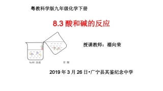 8.3酸和碱的反应-(2)