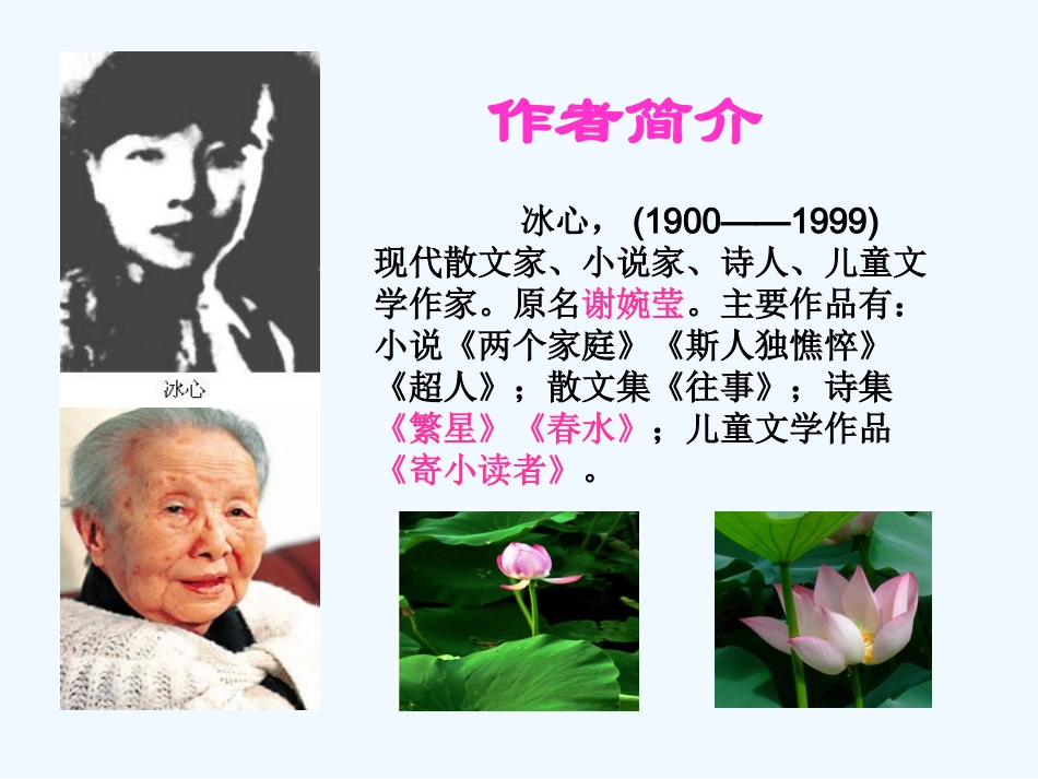 (部编)初中语文人教2011课标版七年级上册荷叶--母亲-(14)_第3页