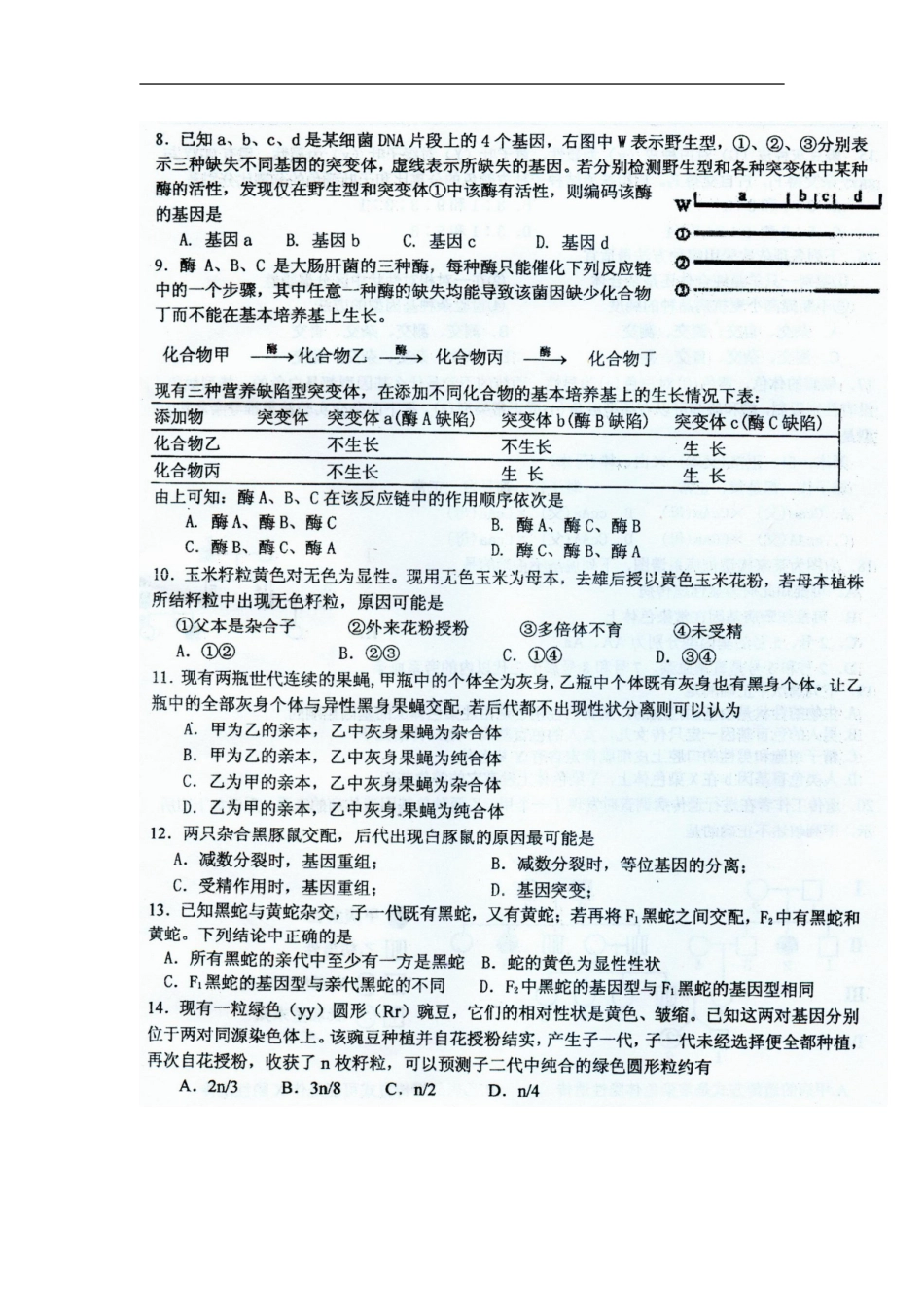 广西南宁二中10-11学年高二生物下学期期中考试(扫描版)理_第2页