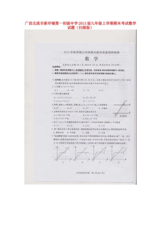 广西北流市新圩镇第一初级中学2013届九年级数学上学期期末考试试题(扫描版)
