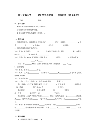细胞呼吸的过程