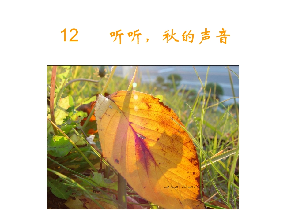 12听听秋的声音_第1页