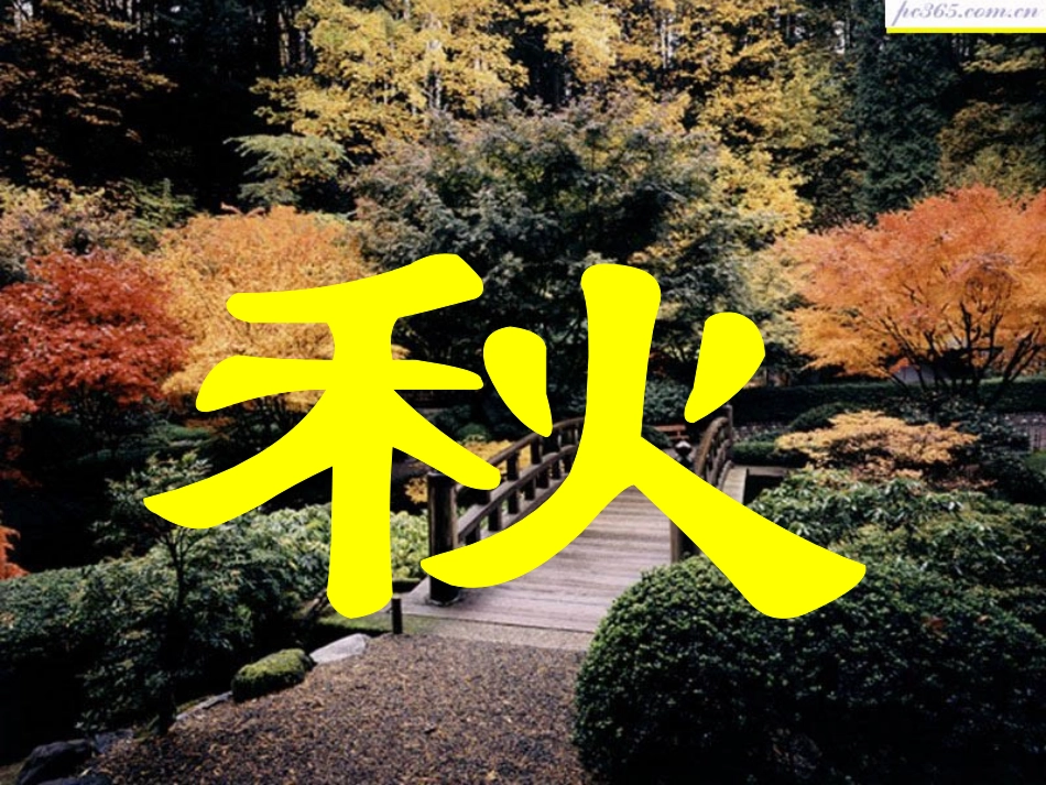 12听听秋的声音_第2页