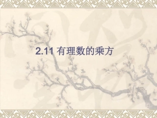 2.11有理数的乘方-(2)