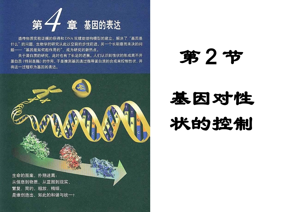 修改3：基因对性状的控制_第1页