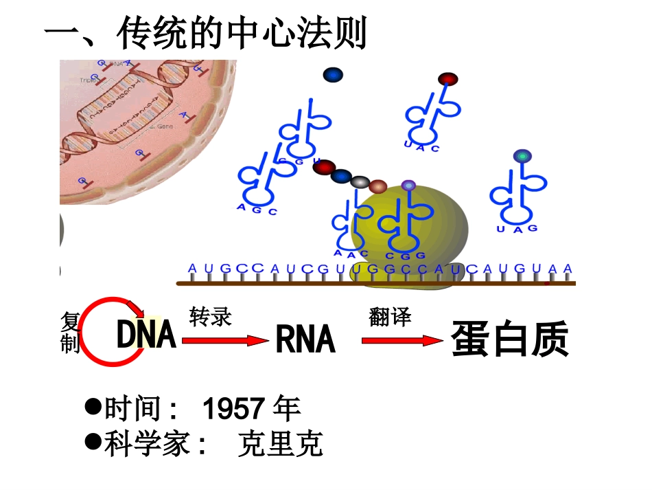 修改3：基因对性状的控制_第2页