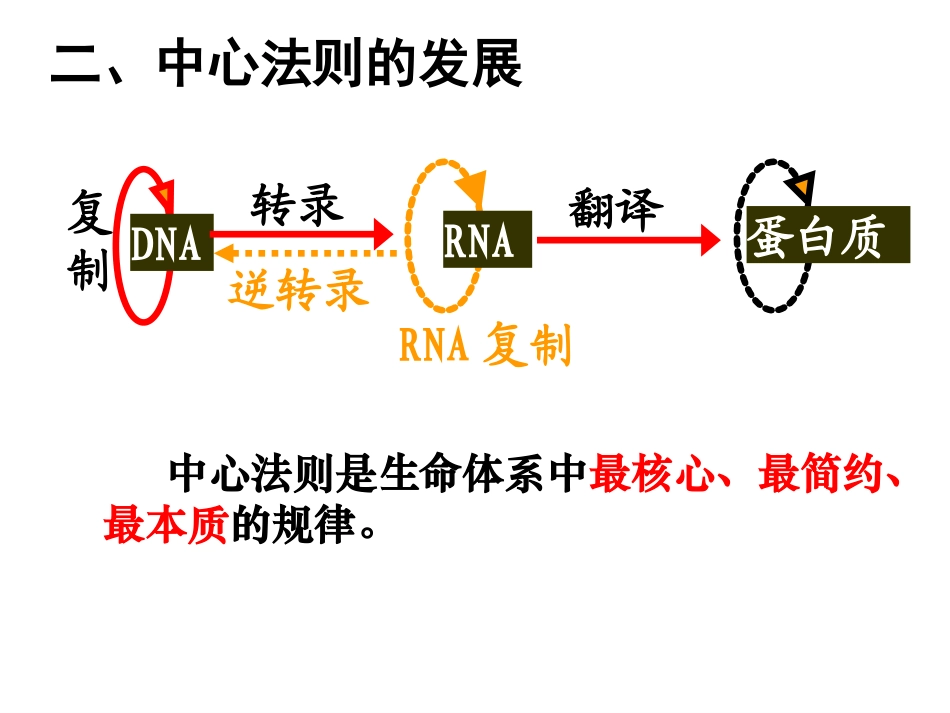 修改3：基因对性状的控制_第3页