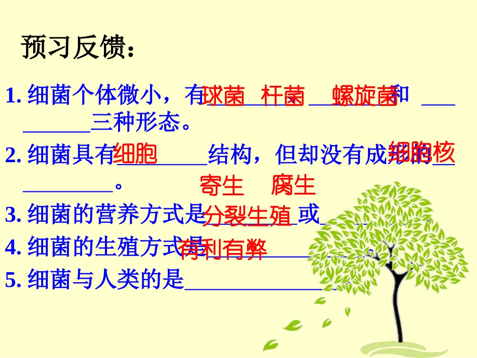 第三节神奇的微生物_第1页