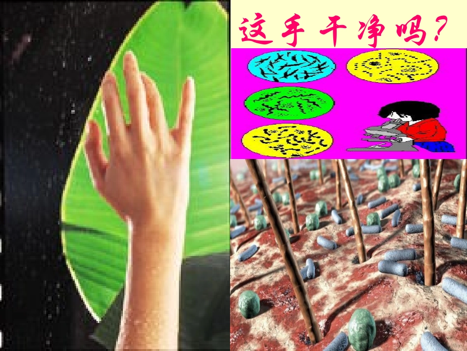 第三节神奇的微生物_第2页