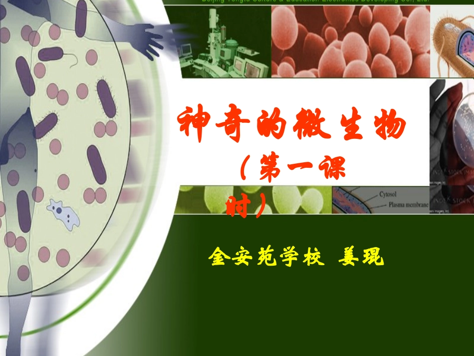 第三节神奇的微生物_第3页