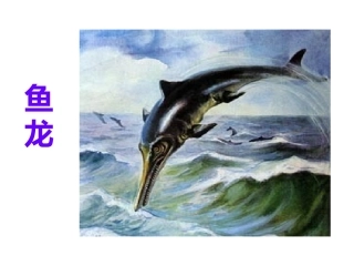 31-飞向蓝天的恐龙