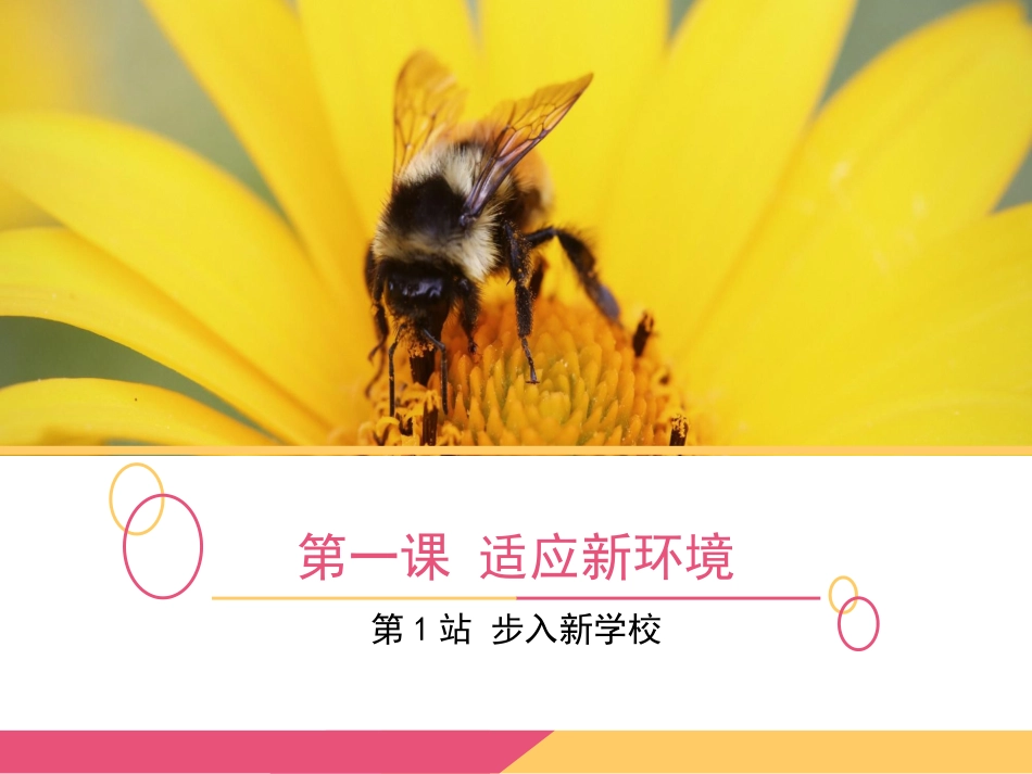 《第1课-适应新环境》课件4_第1页