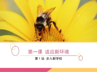 《第1课-适应新环境》课件4