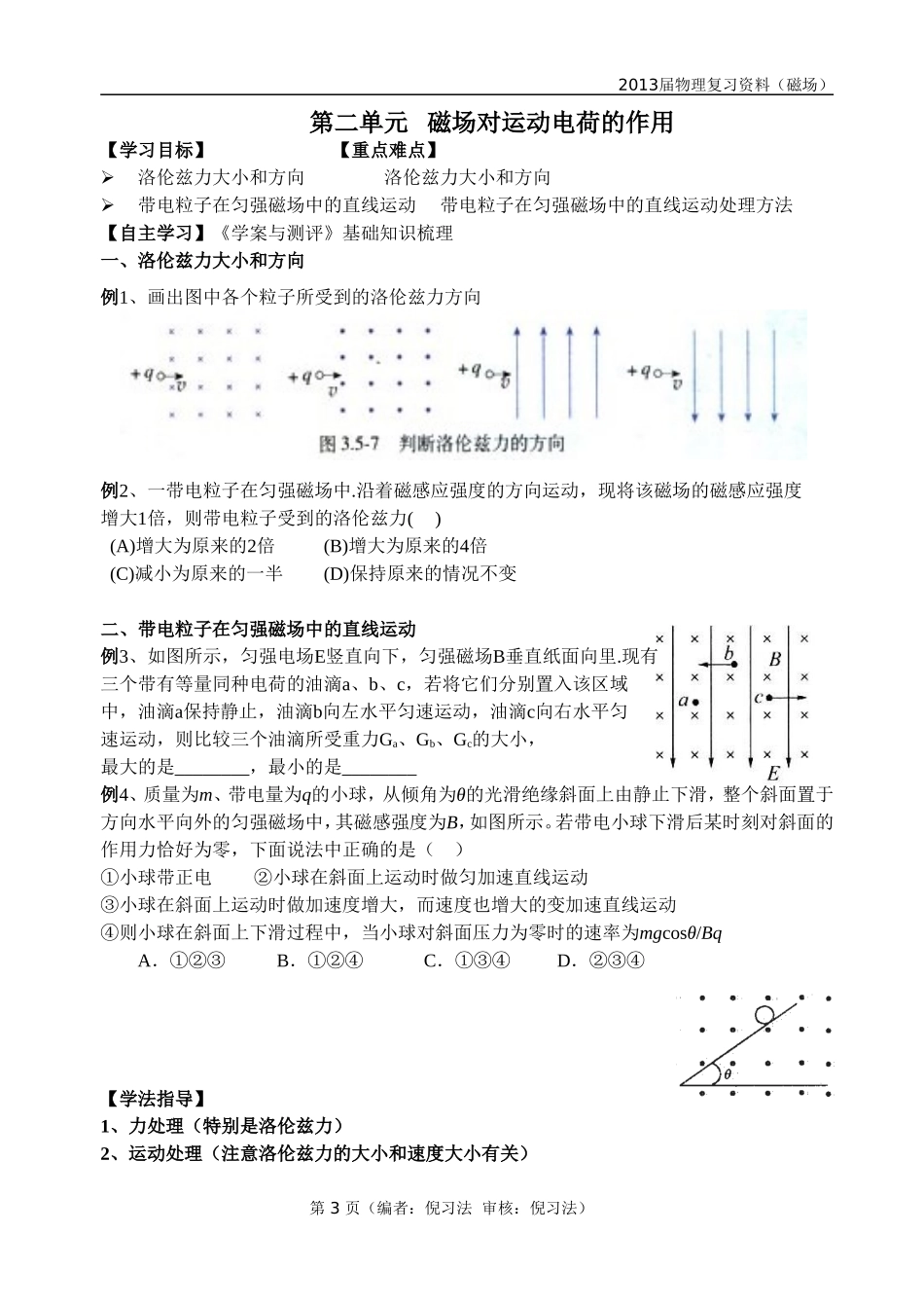 2013届物理复习资料(磁场)_第3页