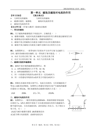 2013届物理复习资料(磁场)
