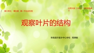第1节光合作用-(2)