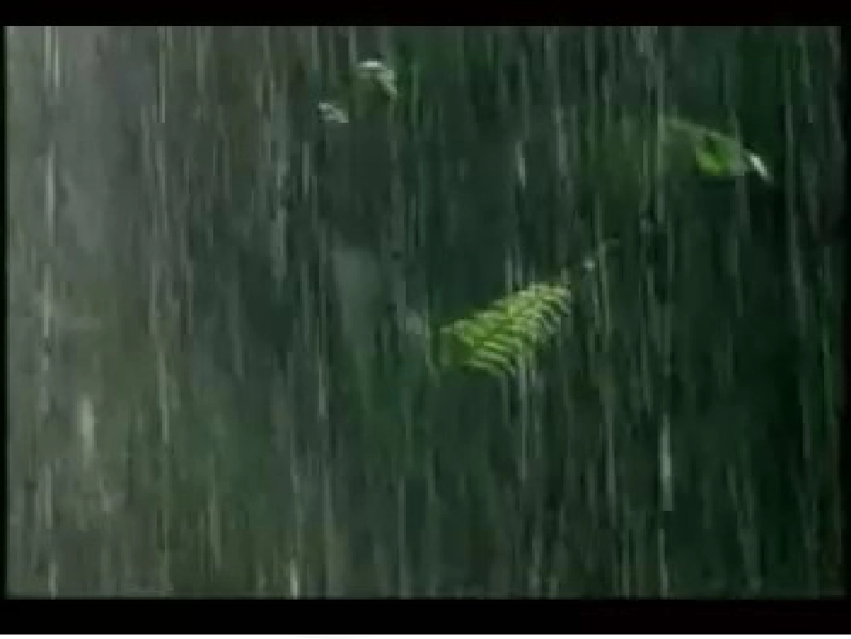 课题4爱护水资源-(4)_第2页