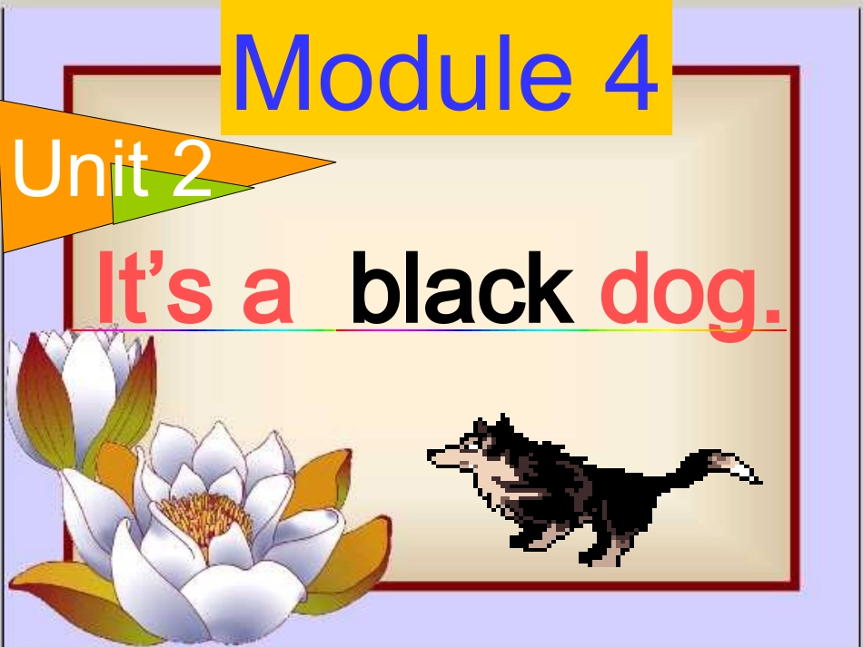 it's-a-black-dog1_第1页