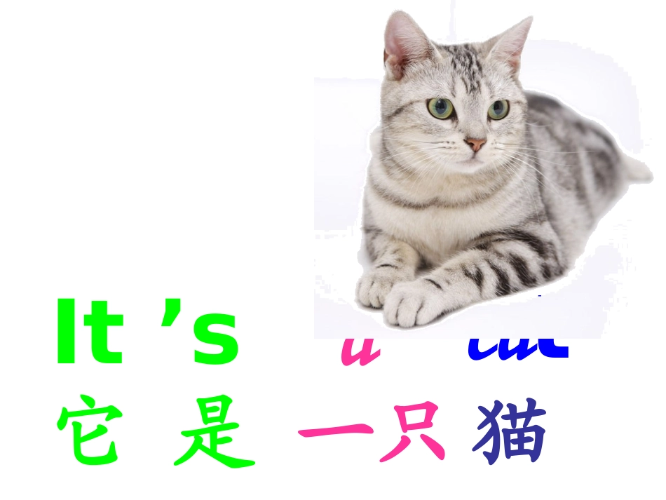 it's-a-black-dog1_第3页