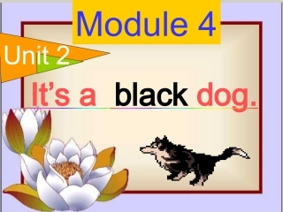 it's-a-black-dog1