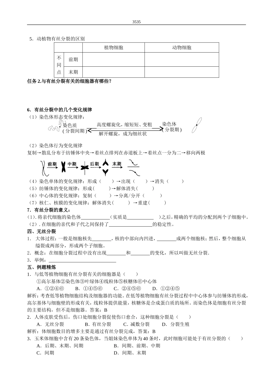 第11讲细胞增殖_第3页