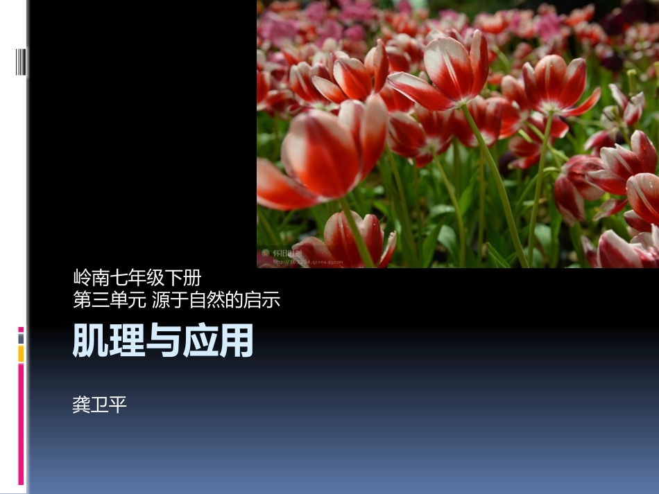 6肌理与应用-(2)_第1页