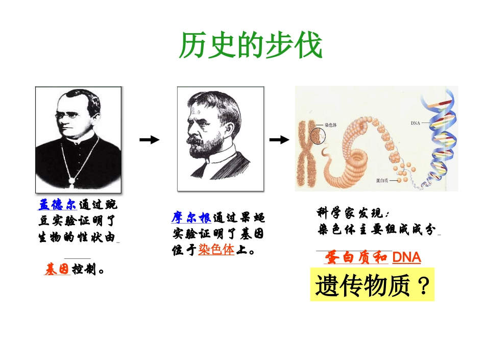 二寻找遗传物质_第2页