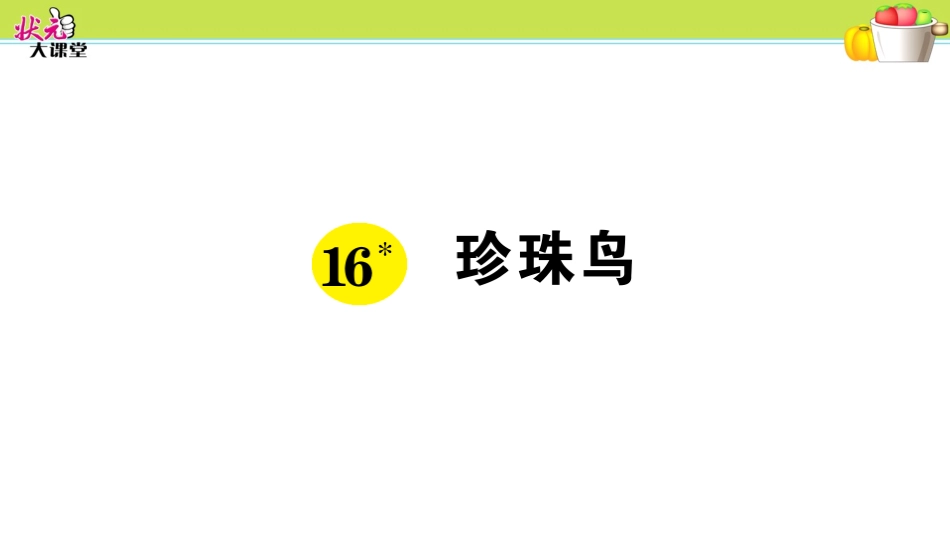 16.-珍珠鸟_第1页