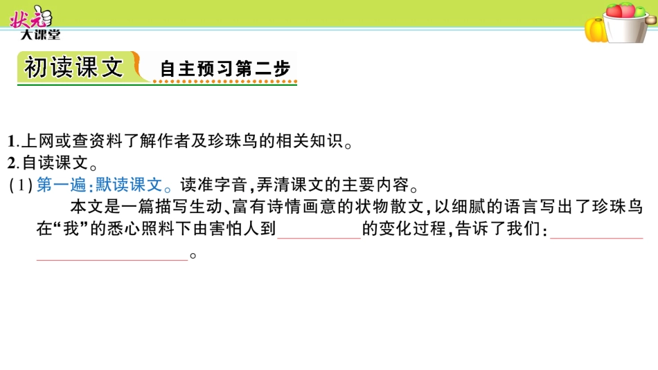 16.-珍珠鸟_第3页