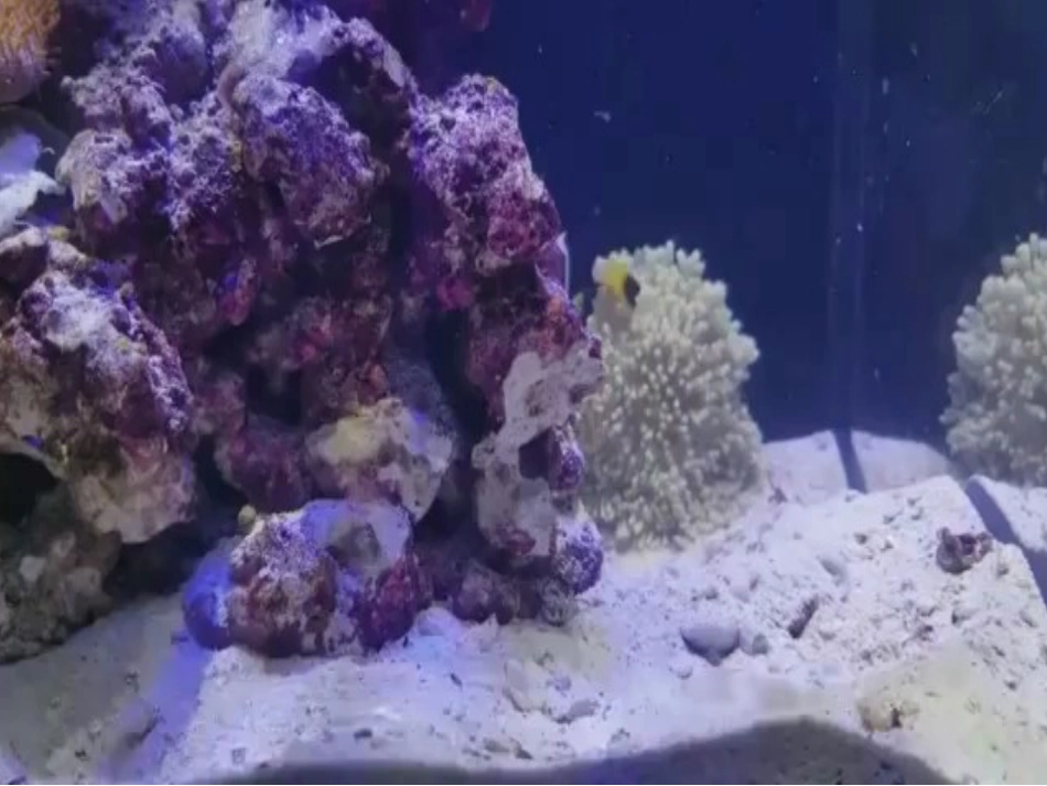 课题1-溶液的形成-(3)_第2页