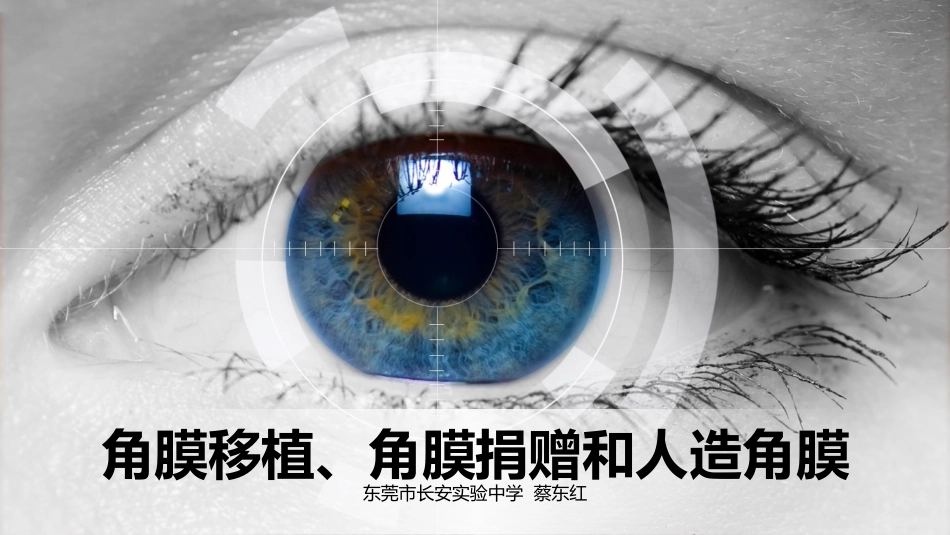 科学·技术·社会-角膜移植、角膜捐献和人造角膜_第1页