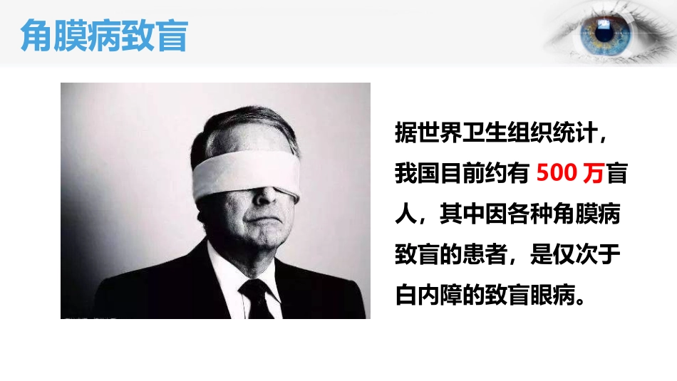 科学·技术·社会-角膜移植、角膜捐献和人造角膜_第3页