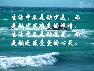 《甜甜的泥土》