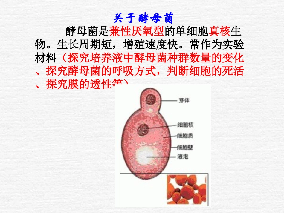 探究培养液中酵母菌种群数量的变化_第2页