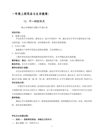 思品不一样的冬天教师祥案(新)