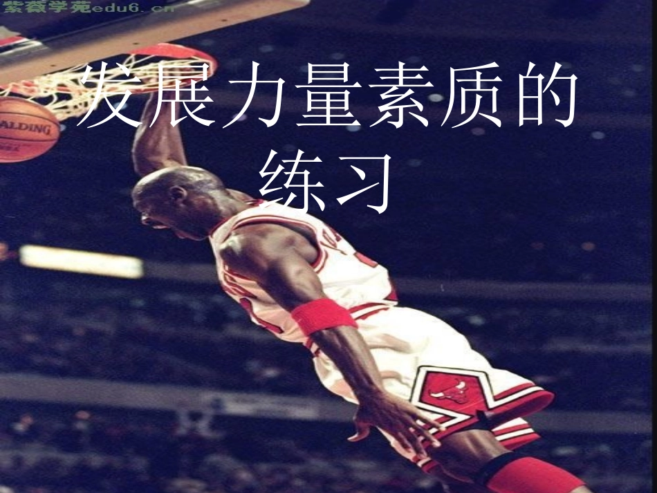 力量练习-(2)_第1页