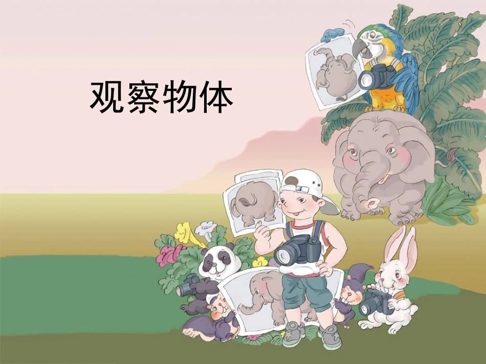 观察物体成素珍_第1页