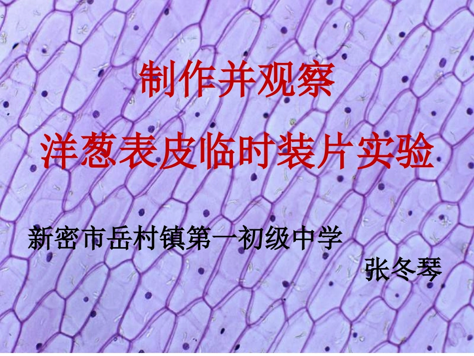 科学·技术·社会-人类探索微观世界不可缺少的工具——显微镜-(2)_第2页